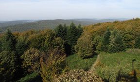 Divočina bez hranic (10)