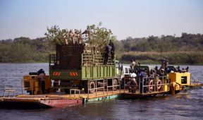 Zázračná planeta: Žirafy, něžní obři afrických savan