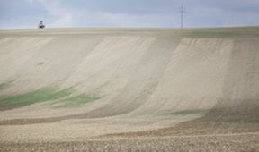 Český žurnál
