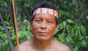 Matsés