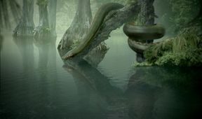 Titanoboa: Megahad minulosti (2/2)