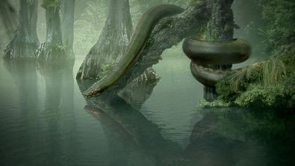Titanoboa: Megahad minulosti (2/2)