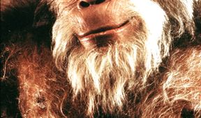 Harry a Hendersonovi