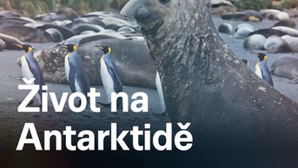 Život na Antarktidě