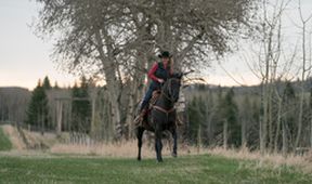 Ranč Heartland XI (1)