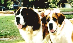 Beethoven 2