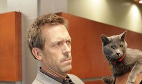 Dr. House V (18)