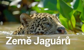 Země Jaguárů
