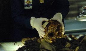Sběratelé kostí III (7)