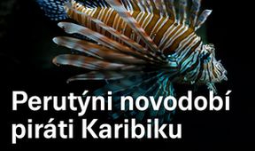 Perutýni - novodobí piráti Karibiku