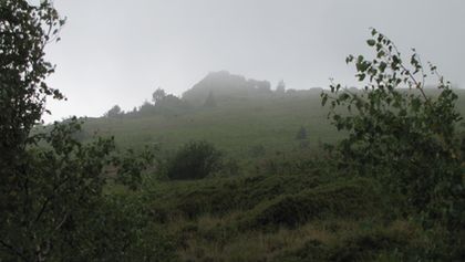 Divočina bez hranic (7)