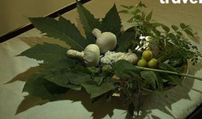 World Spas (11)
