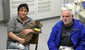 Hautnah: Die Tierklinik