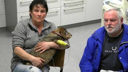 Hautnah: Die Tierklinik