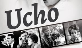 Ucho