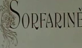 O moudré Sorfarině
