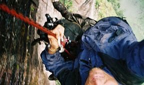 Amazonia vertical