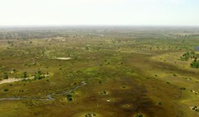 Velkolepá Afrika (4)