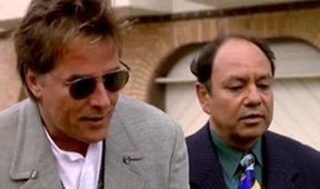Detektiv Nash Bridges