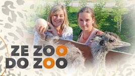 Ze ZOO do ZOO