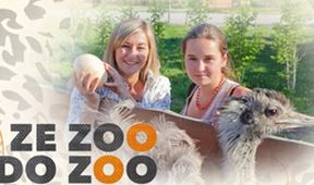 Ze ZOO do ZOO