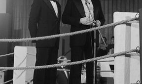 Ring volný