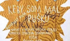 Keby som mal pušku