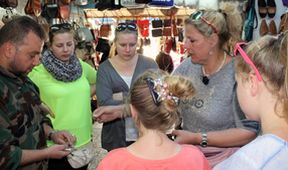 Die Wollnys - Eine schrecklich große Familie! XV (11)
