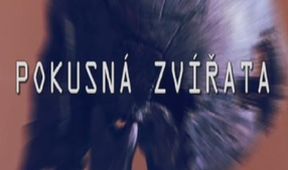 Pokusná zvířata