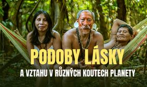 Podoby lásky a vztahu v různých koutech planety, Dokumentární klub