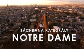 Záchrana katedrály Notre Dame