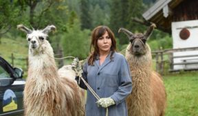 Rozmarné jaro: Zpovědní tajemství