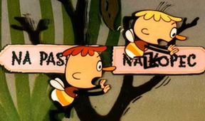 Jak Ťuk a Bzuk putovali za sluníčkem