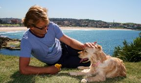 Veterinář z Bondi Beach XI (2)