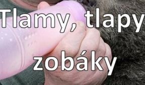 Tlamy, tlapy, zobáky