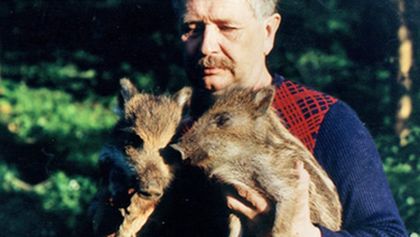 Pruhovaní kamarádi