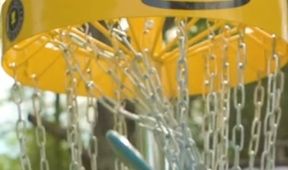 Mistrovství ČR, Discgolf
