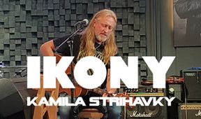 Ikony Kamila Střihavky (1/10)
