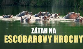Zátah na Escobarovy hrochy, Dokumentární klub