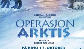 Akce Arktida