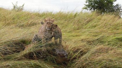 Serengeti II, Zázračná planeta (4/6)