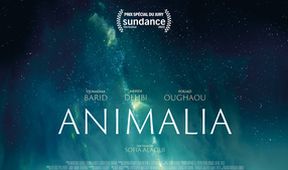 Animalia