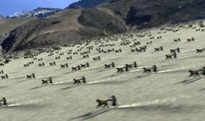 Ancient Impossible (1)
