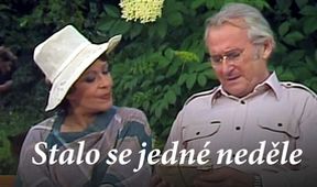 Stalo se jedné neděle