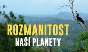 Rozmanitost naší planety