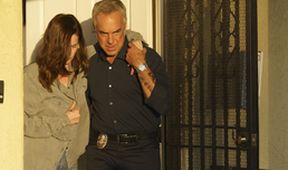 Bosch V (7/10)