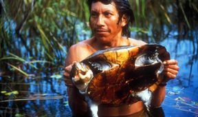 Amazonie (3)