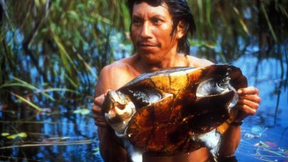 Amazonie (3)