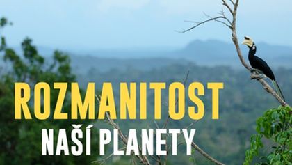 Rozmanitost naší planety