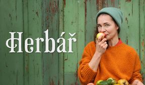 Herbář